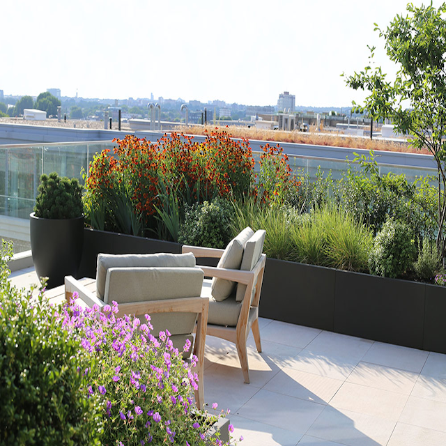 Terrace Landscaping