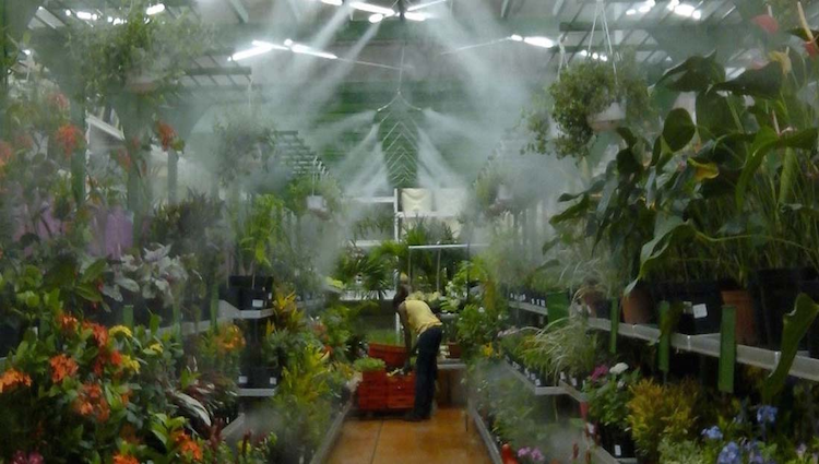 Mist Spraying